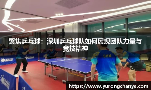 聚焦乒乓球：深圳乒乓球队如何展现团队力量与竞技精神